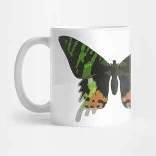 Madagascan Sunset Moth Digital Painting Mug